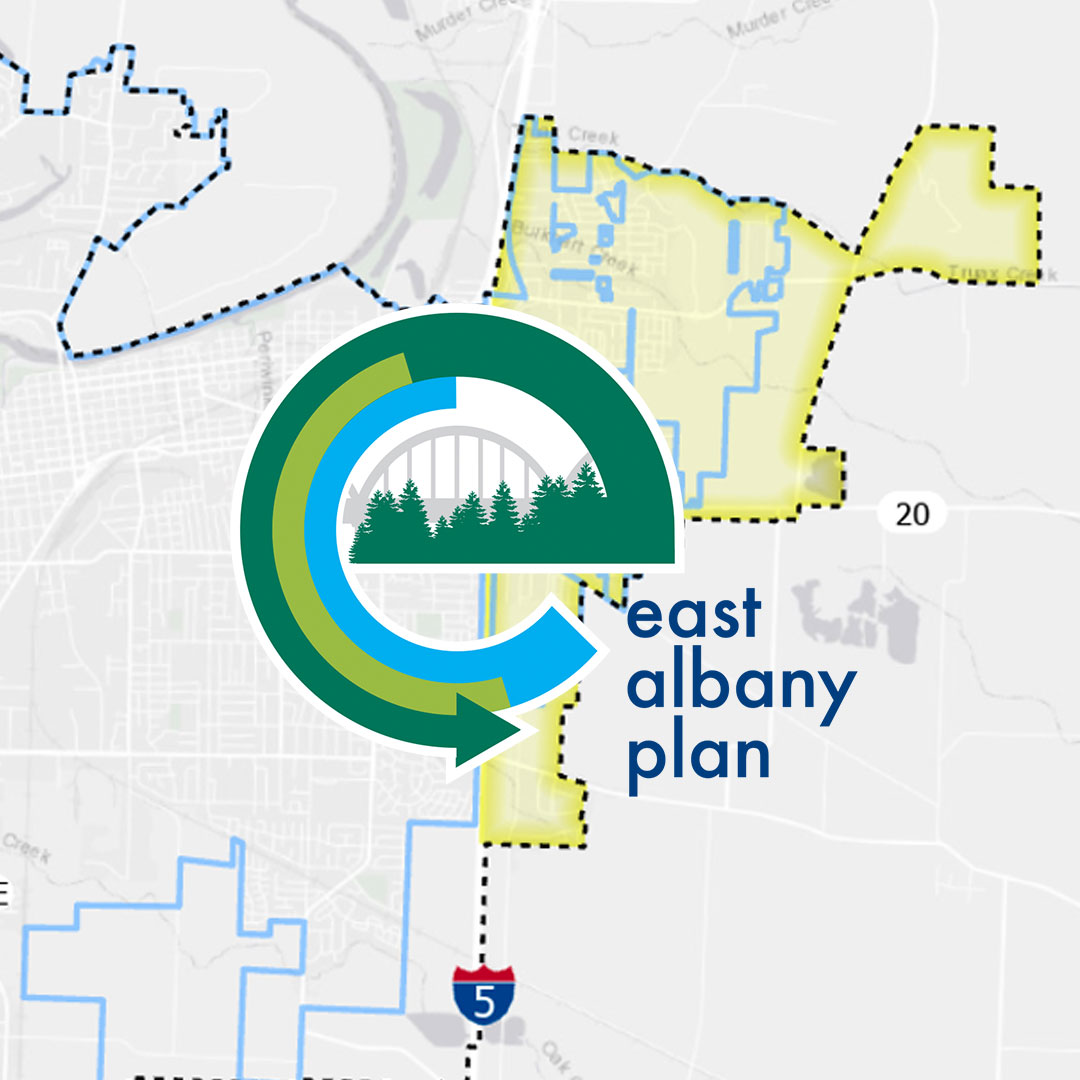 eastalbanyplan